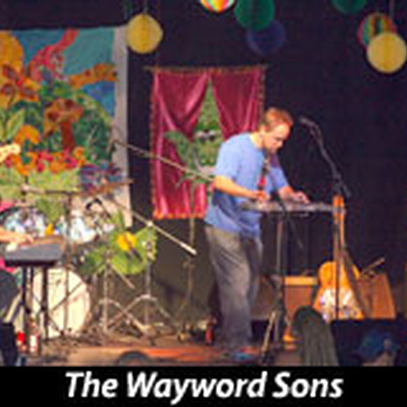 Kyle Hollingsworth and Friends - Boo Boo's Pik-A-Nik