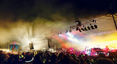 08/20/11 Hoxeyville Music Festival, Wellston, MI 