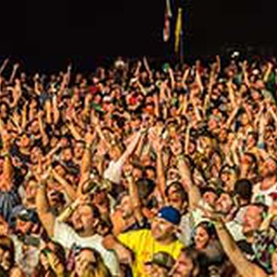 01/24/15 Panic En La Playa, Punta Cana, DR 