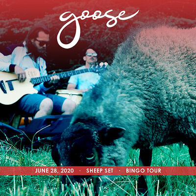 06/28/20 Sheep Set, Sheep Pasture, CT 