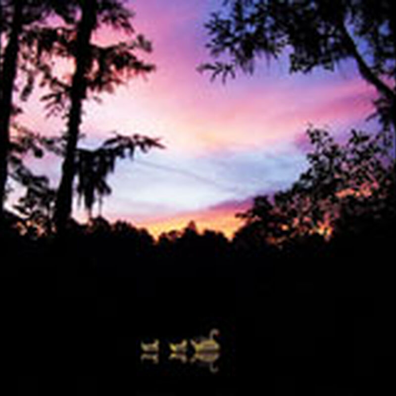 09/24/11 Blackwater Music Festival, Live Oak, FL 
