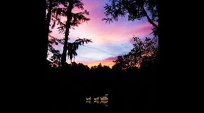 09/24/11 Blackwater Music Festival, Live Oak, FL 
