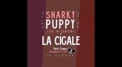 11/08/15 La Cigale, Paris, FR 