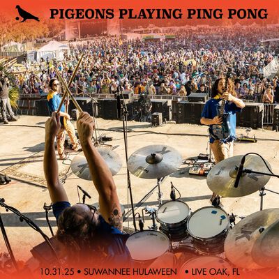 10/31/25 Hulaween, Live Oak, FL 