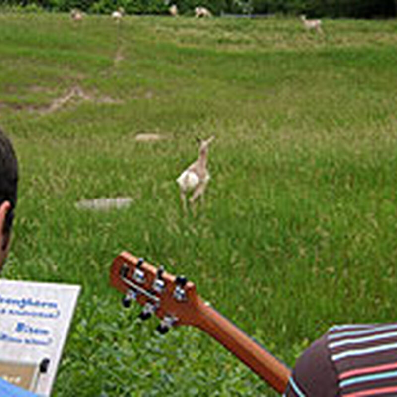 07/06/08 Weesner Amphitheater, Apple Valley, MN 