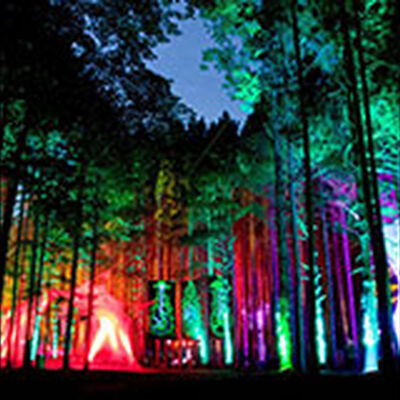 06/28/14 Electric Forest, Rothbury, MI 