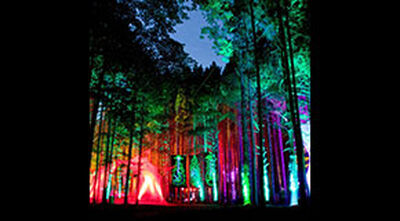 06/28/14 Electric Forest, Rothbury, MI 