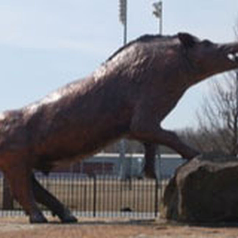 09/02/10 Arkansas Music Pavilion, Fayetteville, AR 