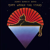 Cats Under the Stars