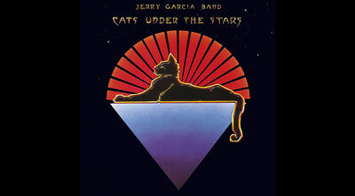 Cats Under the Stars