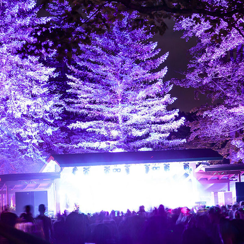 08/25/18 Night Lights Music Festival, Sherman, NY 