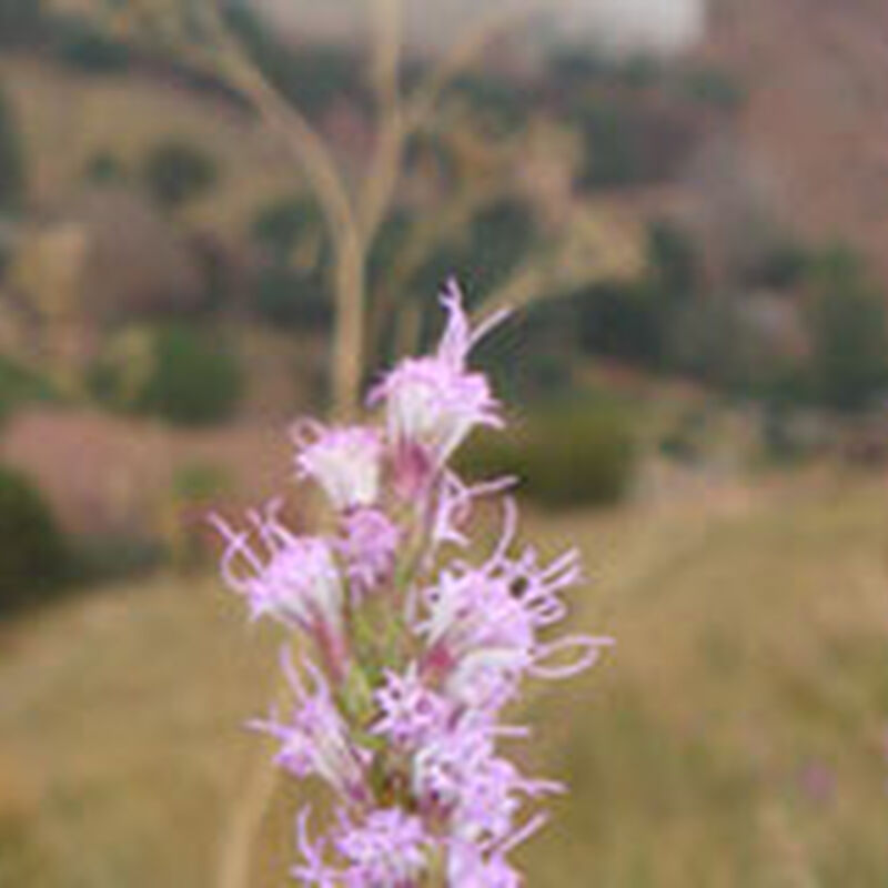 09/05/08 Red Rocks Amphitheatre, Morrison, CO 