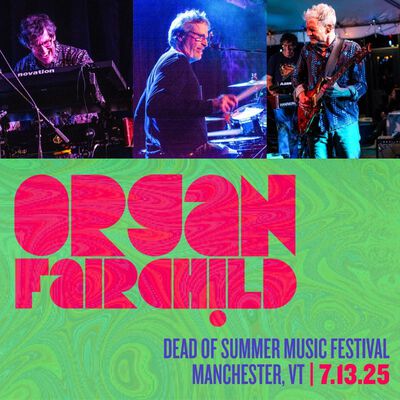 07/13/25 Dead of Summer Music Festival, Manchester, VT 