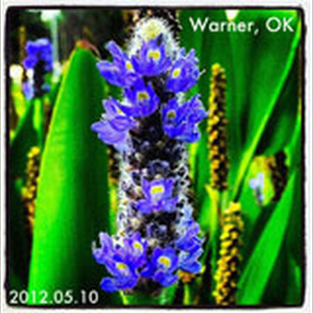 05/10/12 Connor State College, Warner, OK 