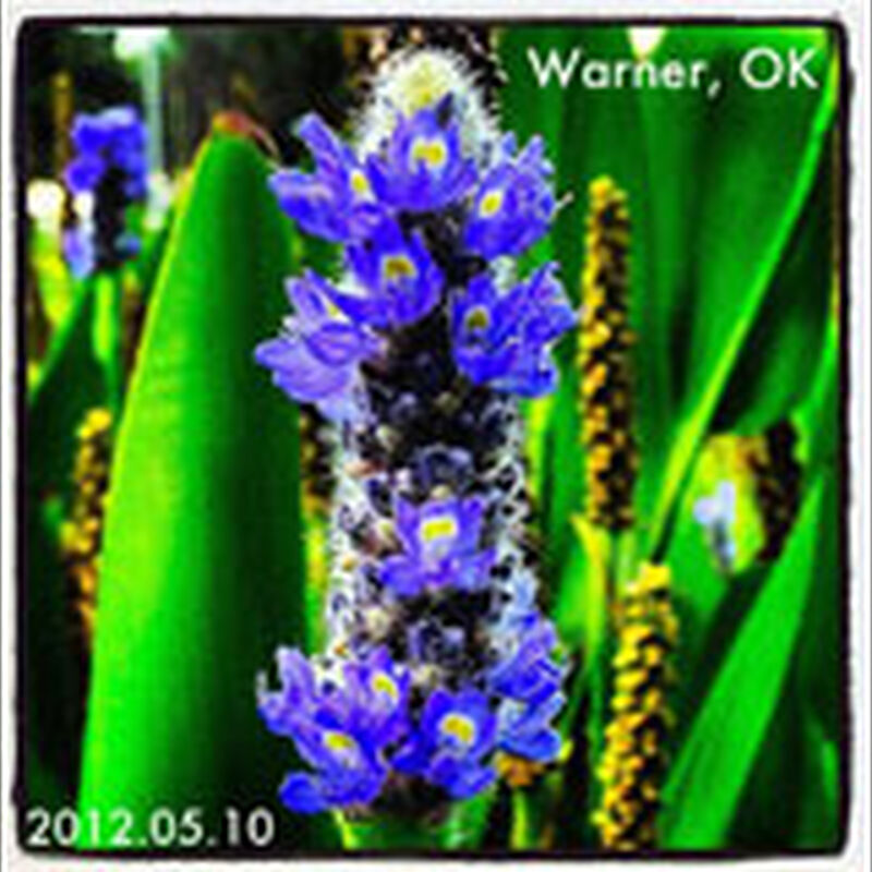 05/10/12 Connor State College, Warner, OK 