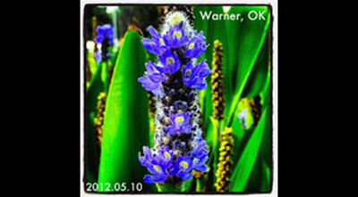05/10/12 Connor State College, Warner, OK 