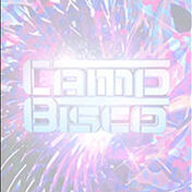 Camp Bisco 13