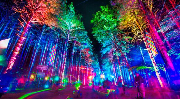 The String Cheese Incident