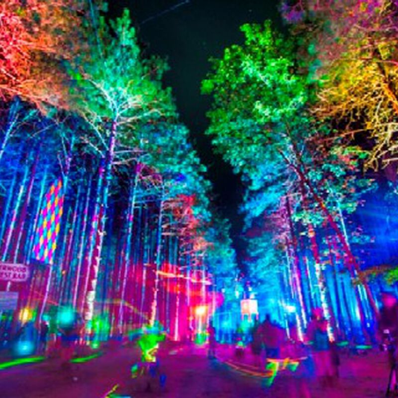 07/01/12 Electric Forest, Rothbury, MI 