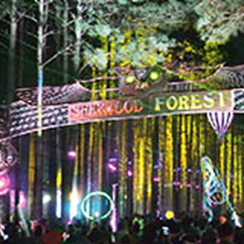 Electric Forest 2015