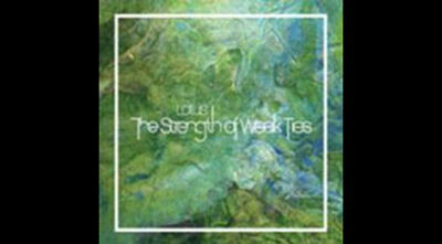 The Strength of Weak Ties