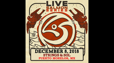 12/08/18 Strings & Sol, Puerto Morales, MX 