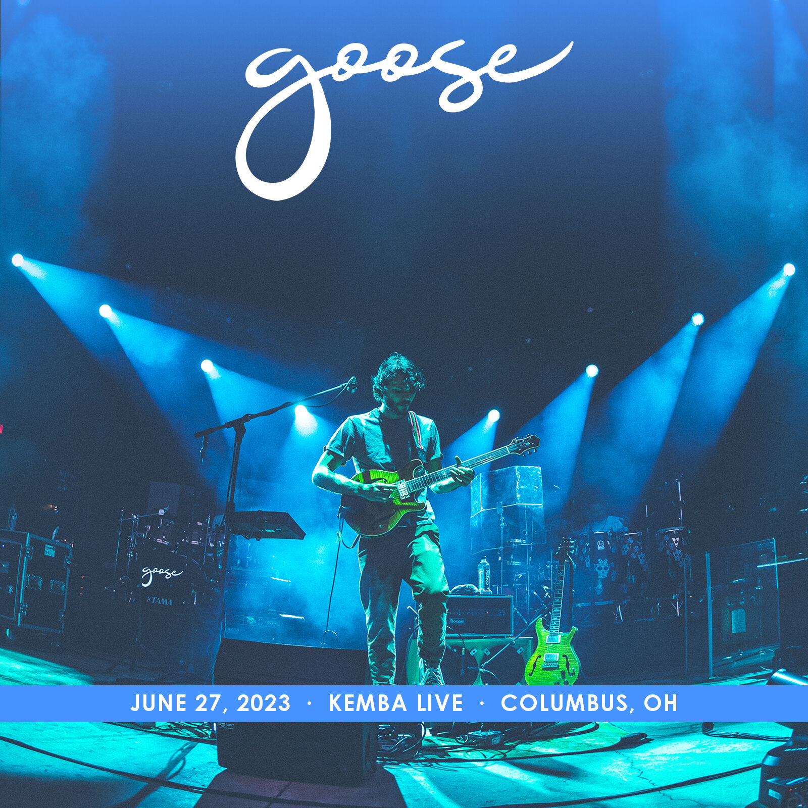 Goose