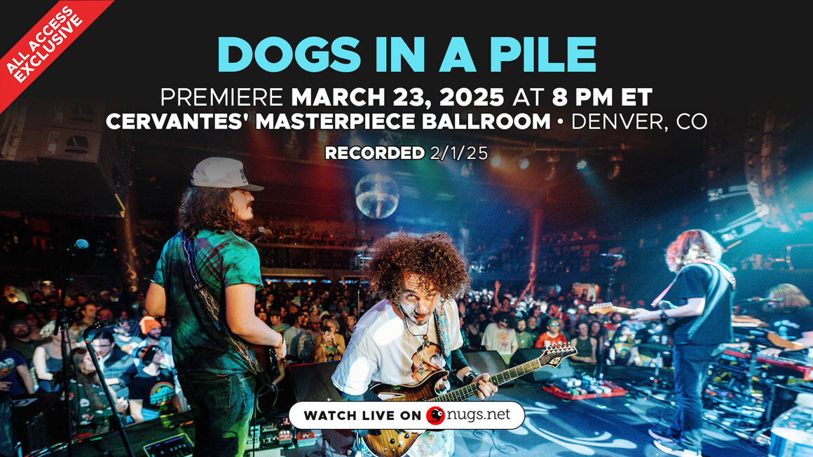 Dogs In A Pile