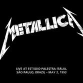 05/02/93 Estádio Palestra Itália, Sao Paulo, BR 