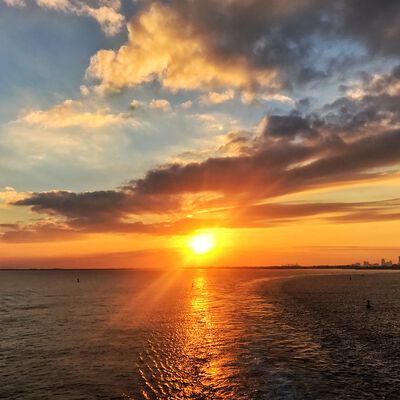 01/15/19 Jam Cruise, Miami, FL 