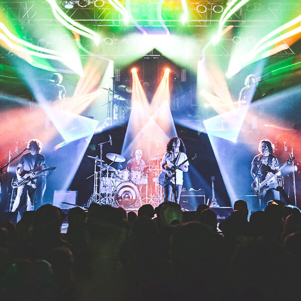 Pigeons Playing Ping Pong