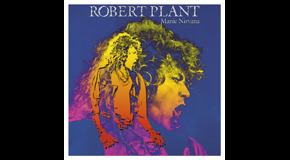 Robert Plant