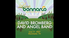 David Bromberg and Angel Band