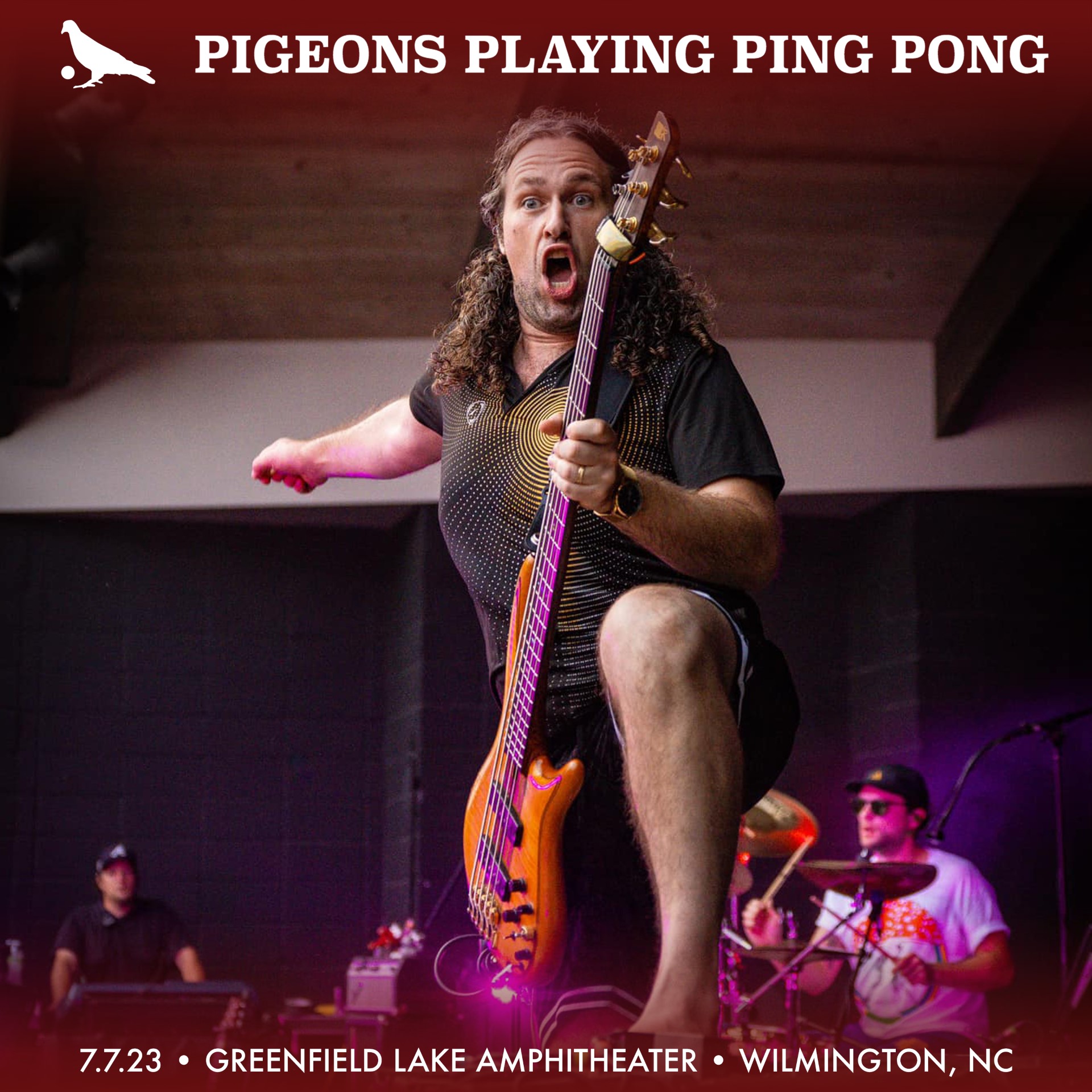 Watch Livestream of Pigeons Playing Ping Pong on 07-07-2023