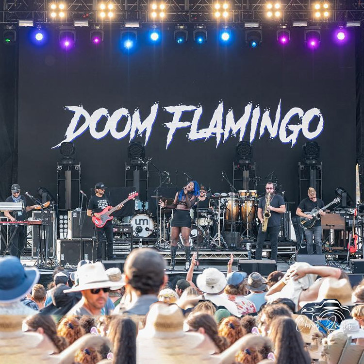 Doom Flamingo